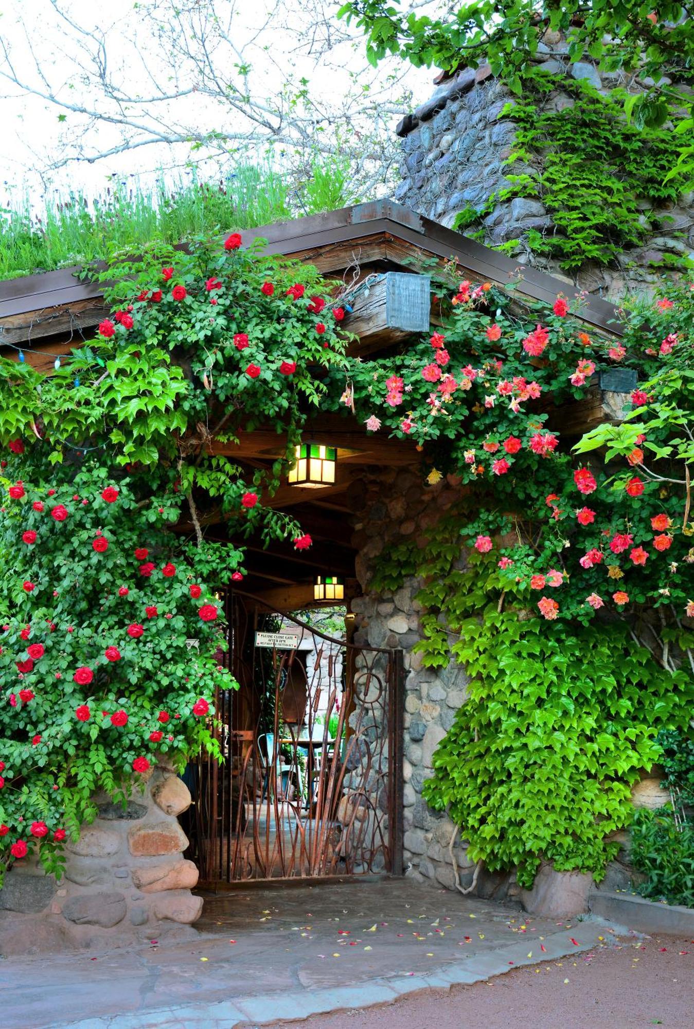 El Portal Sedona Hotel Eksteriør bilde